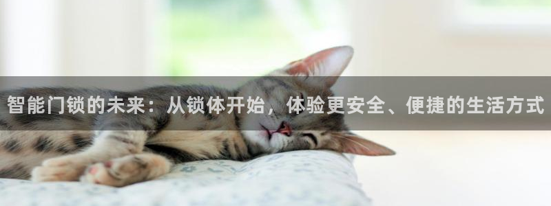 利记亚洲官网
