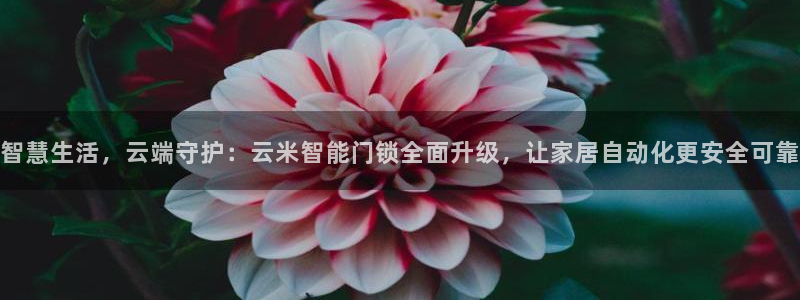大利来记官网