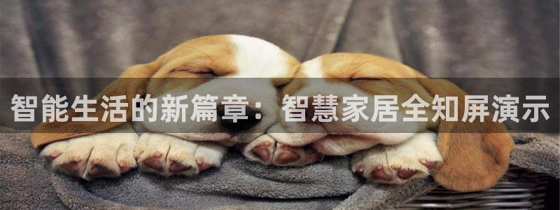 利记app官网