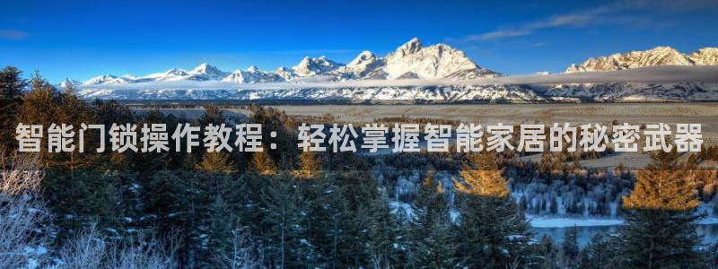 188bet注册利记官网app：智能门锁操作教程：轻松掌握智