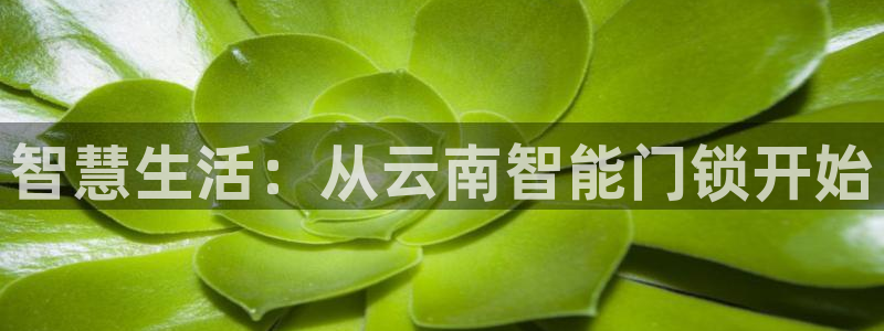 利记app官方官网登录：智慧生活：从云南智能门锁开始