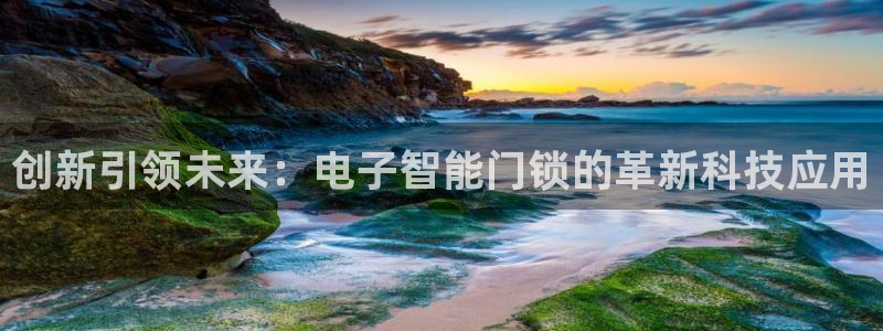利记国际有限公司官网：创新引领未来：电子智能门锁的革新科技应