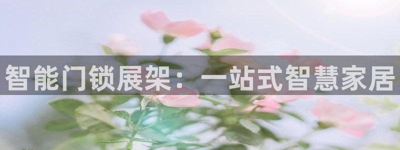 利记坊官网登录：智能门锁展架：一站式智慧家居