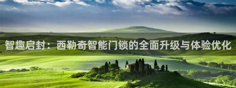 利记手机官网bb电子平台官方：智趣启封：西勒奇智能门锁的全面