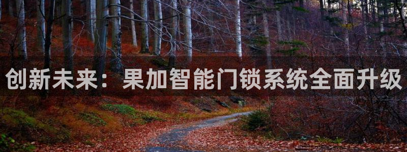 利记官网官方网址：创新未来：果加智能门锁系统全面升级