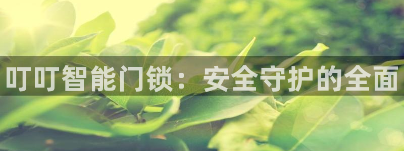利记bet官网登录入口：叮叮智能门锁：安全守护的全面