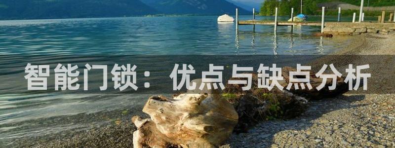 利记网址注册官网：智能门锁：优点与缺点分析