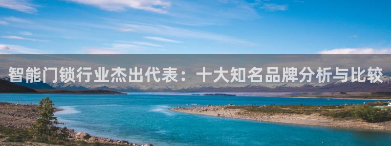 利记手机官网电子mg官方网站：智能门锁行业杰出代表：十大知名