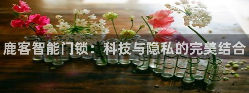 利记官网app：鹿客智能门锁：科技与隐私的完美结合