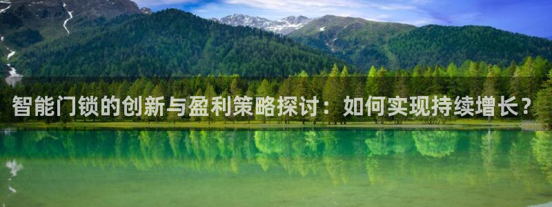 利记网官网：智能门锁的创新与盈利策略探讨：如何实现持续增长？