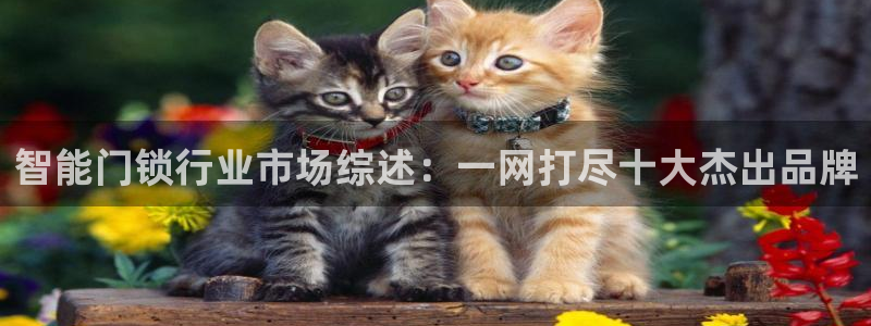 利记官网app：智能门锁行业市场综述：一网打尽十大杰出品牌