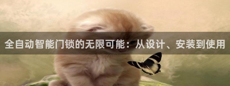 利记官网电脑版：全自动智能门锁的无限可能：从设计、安装到使用