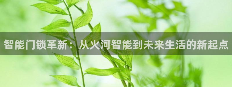 利记博彩官网APP：智能门锁革新：从火河智能到未来生活的新起