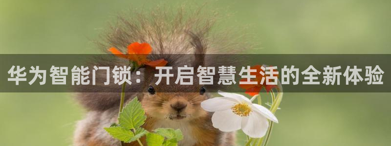 利记体育投注官网：华为智能门锁：开启智慧生活的全新体验