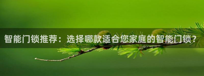 利记正式官网：智能门锁推荐：选择哪款适合您家庭的智能门锁？