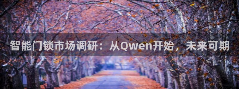利记官网入口：智能门锁市场调研：从Qwen开始，未来可期