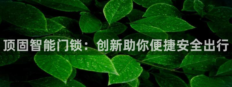 利记sbobet官网电脑版：顶固智能门锁：创新助你便捷安全出