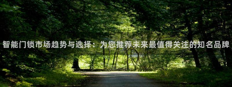 利记官网在线投注：智能门锁市场趋势与选择：为您推荐未来最值得