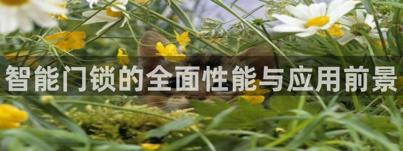 利记现场官网：智能门锁的全面性能与应用前景