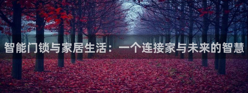 香港利记集团官网招聘：智能门锁与家居生活：一个连接家与未来的