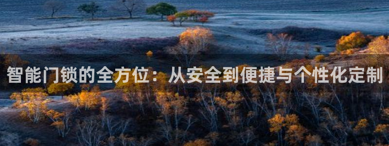 利记彩票官网wx678 com：智能门锁的全方位：从安全到便