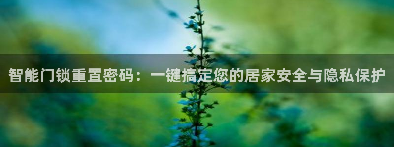 利记体育官网地址：智能门锁重置密码：一键搞定您的居家安全与隐