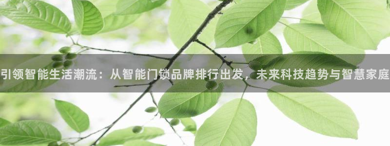 利记官网：引领智能生活潮流：从智能门锁品牌排行出发，未来科技