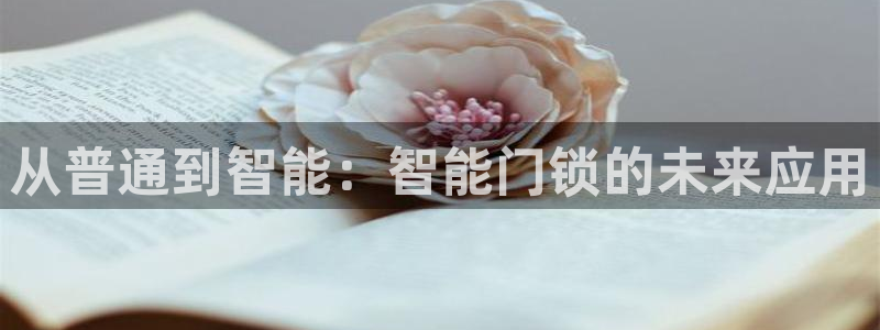 澳门大利来记官网：从普通到智能：智能门锁的未来应用