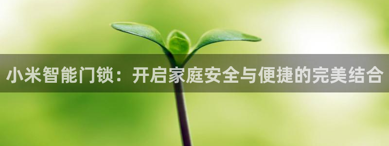香港利记集团官网地址：小米智能门锁：开启家庭安全与便捷的完美