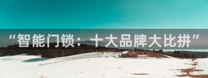 利记正式官网：“智能门锁：十大品牌大比拼”