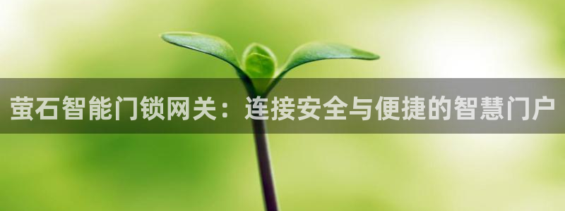 利记国际官网：萤石智能门锁网关：连接安全与便捷的智慧门户