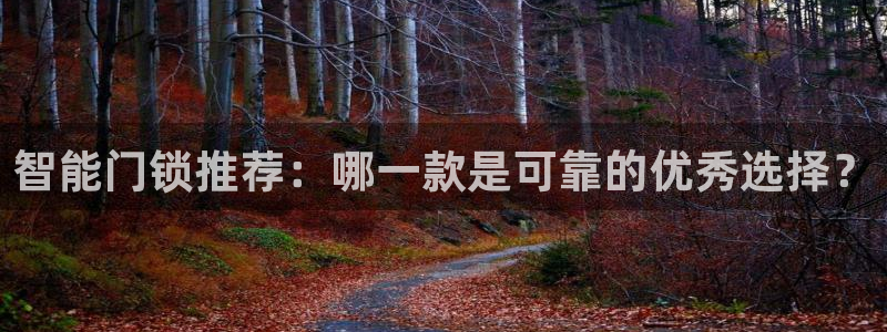 利记娱乐网唯一官网：智能门锁推荐：哪一款是可靠的优秀选择？