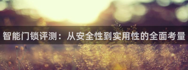 利记足球官网：智能门锁评测：从安全性到实用性的全面考量