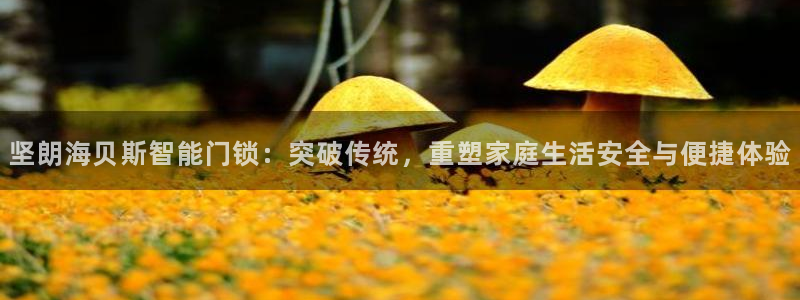 利记app官方官网登录：坚朗海贝斯智能门锁：突破传统，重塑家