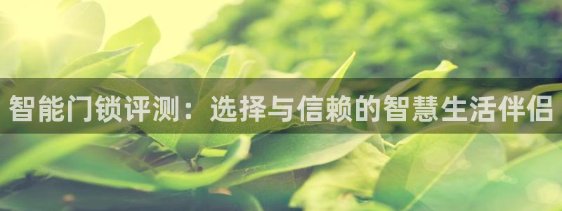 利记官网是多少：智能门锁评测：选择与信赖的智慧生活伴侣