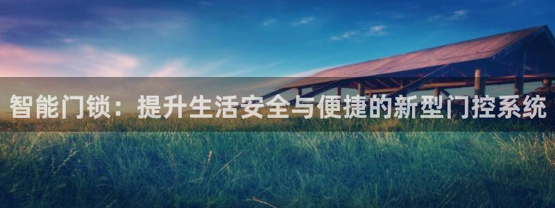 利记真正的官网是多少：智能门锁：提升生活安全与便捷的新型门控