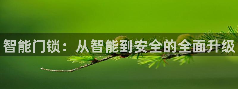 SBOBET利记官网：智能门锁：从智能到安全的全面升级