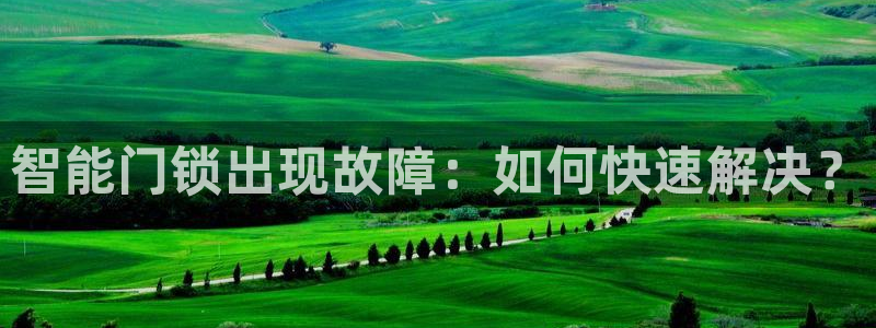 利记坊官网登录：智能门锁出现故障：如何快速解决？