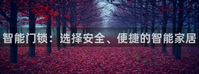 利记官网登录入口：智能门锁：选择安全、便捷的智能家居