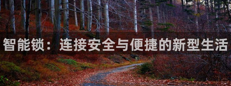利记官网平台：智能锁：连接安全与便捷的新型生活