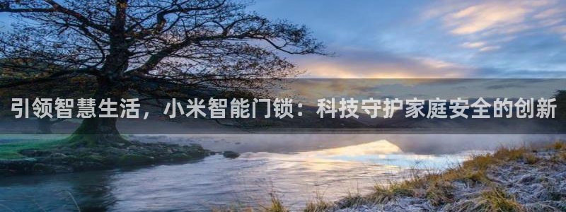 利记 官网：引领智慧生活，小米智能门锁：科技守护家庭安全的创