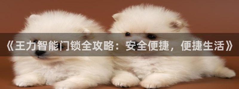 188bet注册利记官网app：《王力智能门锁全攻略：安全便