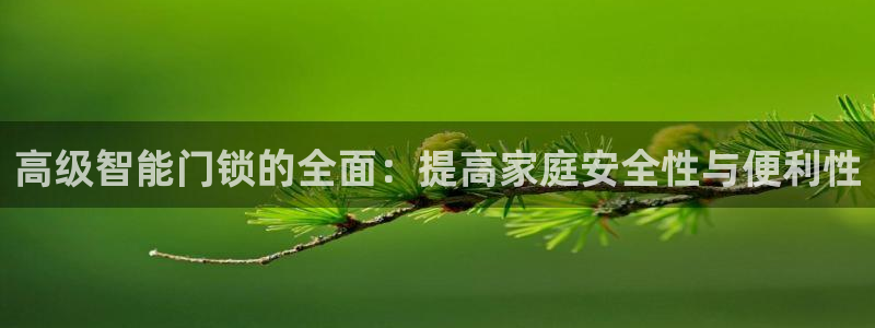 利记体育手机版官网：高级智能门锁的全面：提高家庭安全性与便利