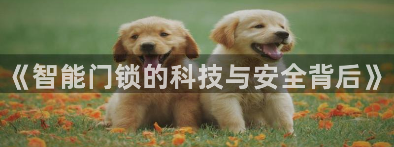 188bet注册利记官网app：《智能门锁的科技与安全背后》