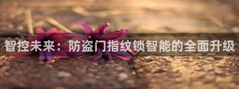 利记 官网：智控未来：防盗门指纹锁智能的全面升级