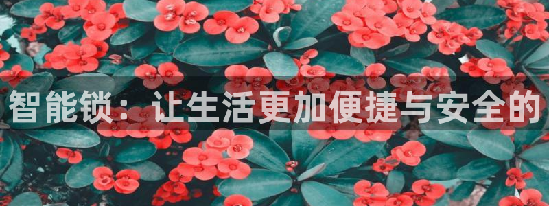 利记官网日亚运比：智能锁：让生活更加便捷与安全的