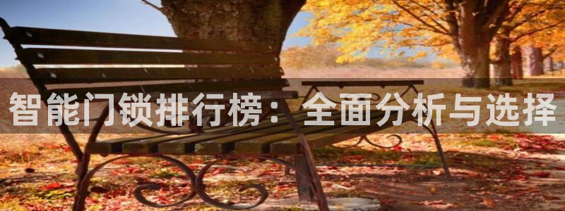 万利记唯一官网：智能门锁排行榜：全面分析与选择