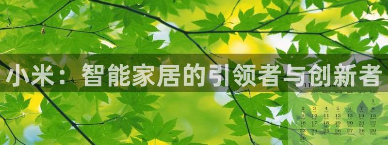 利记官网会员登录：小米：智能家居的引领者与创新者