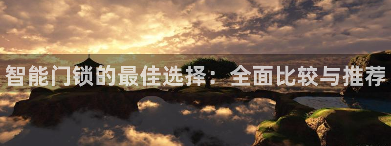 利记官网会员登录：智能门锁的最佳选择：全面比较与推荐