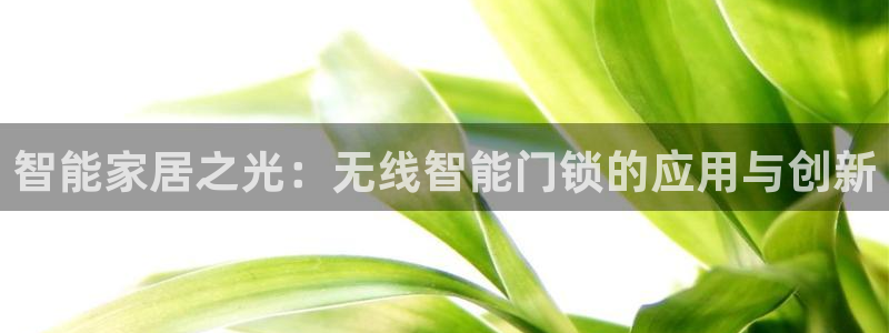 利记坊官网：智能家居之光：无线智能门锁的应用与创新